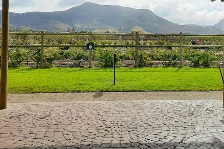 Constantia Wne Route - Uitsig Farm